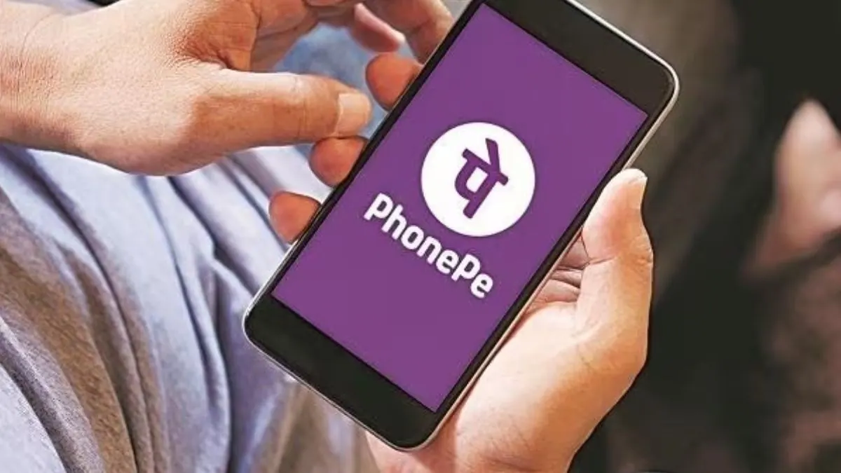Binny Bansal Steps Down from PhonePe Board; Manish Sabharwal Joins as Independent Director